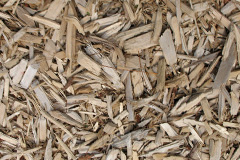biomass boilers Hanwood